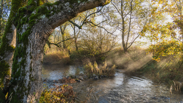 Wupper in Hückeswagen Wupper in Hückeswagen
